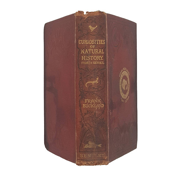 Curiosities of Natural History Third Series by Frank Buckland - Bentley, 1891