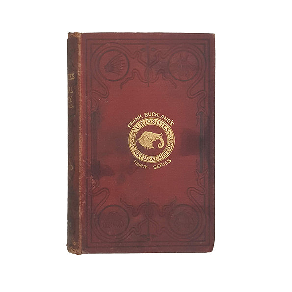 Curiosities of Natural History Third Series by Frank Buckland - Bentley, 1891