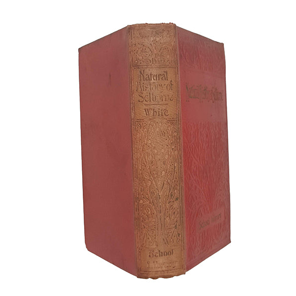 White's Natural History of Selborne - Walter Scott