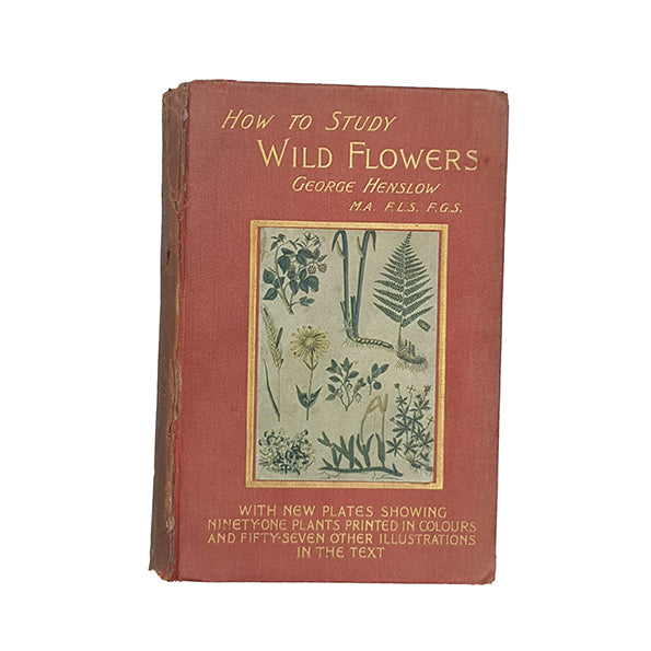 How To Study Wild Flowers by George Henslow - RTS, 1911