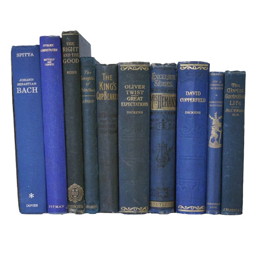 Book By The Foot: Blue Collection