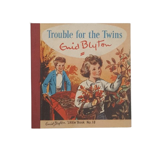 Trouble for the Twins by Enid Blyton - Brockhampton Press