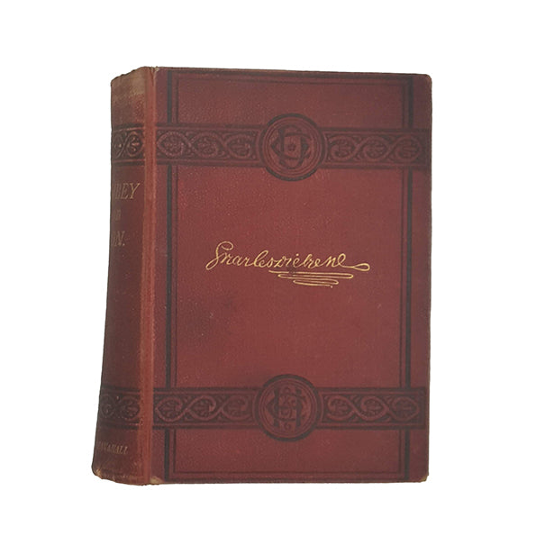 Charles Dickens' Dombey and Son - Chapman &amp; Hall, 1880