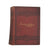 Charles Dickens' Dombey and Son - Chapman & Hall, 1880