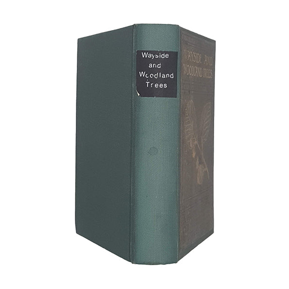 Wayside &amp; Woodland Trees by Edward Step - Warne