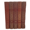 Russian Literature - Brothers Karamazov Etc. (19 Books)