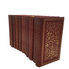 Russian Literature - Brothers Karamazov Etc. (19 Books)