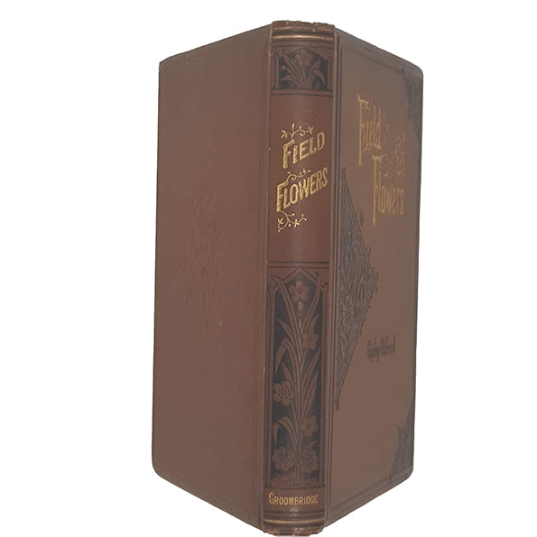 Field Flowers by Shirley Hibberd - Groombridge and Sons