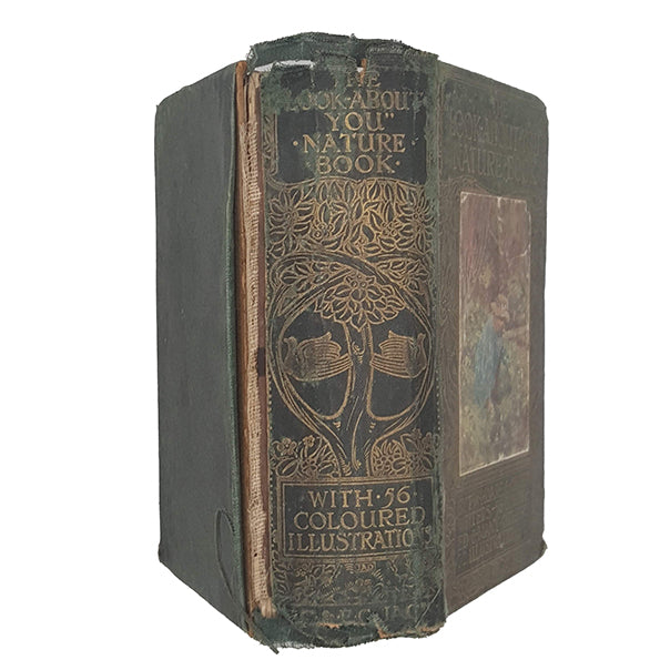 The Look About You Nature Book by T. W. Hoare and others - T. C. &amp; E. C. Jack