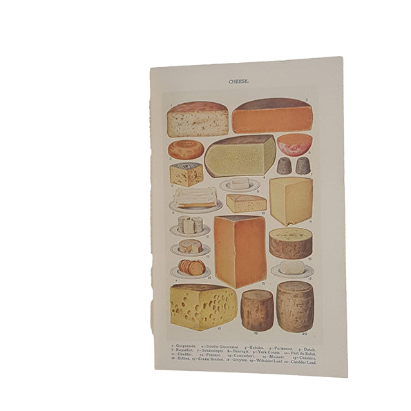 Mrs Beeton’s Every-Day Cookery - Ward, Lock &amp; Co.