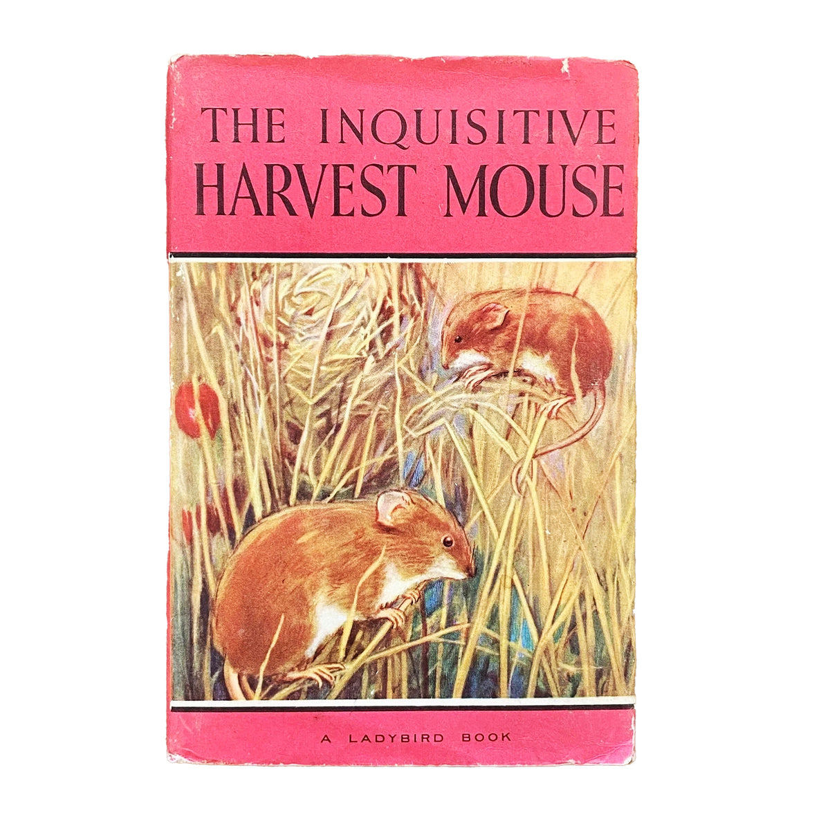 Ladybird 497: The Inquisitive Harvest Mouse (Pink Spine)
