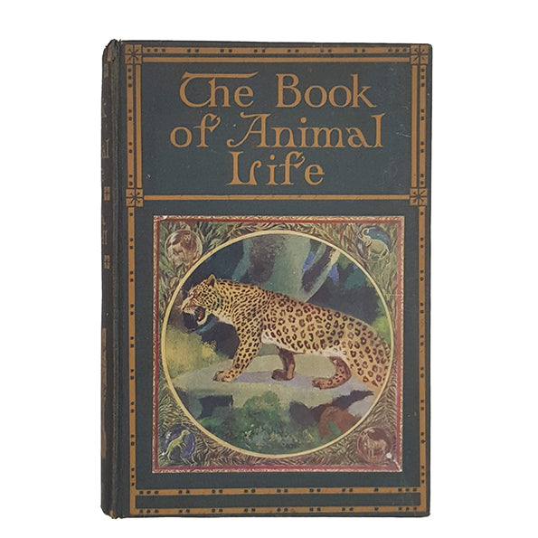 The Book of Animal Life by Thora Stowell - Harrap, 1935, 1st Edition