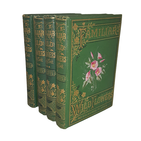 Familiar Wild Flowers by F. Edward Hulme (4 Books)