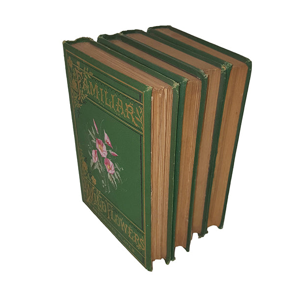 Familiar Wild Flowers by F. Edward Hulme (4 Books)