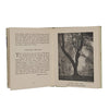 In Praise of Trees chosen by Nancy Price - Frederick Muller, 1953