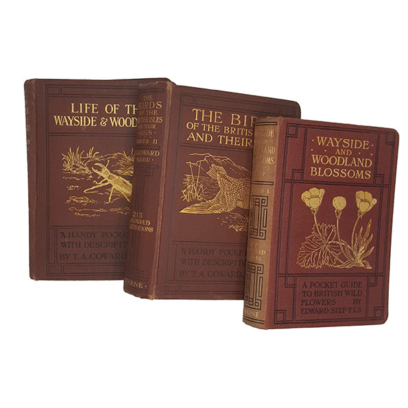 Life of the Wayside and Woodland, Wayside and Woodland Blossoms, The Birds of the British Isles (3 Books)
