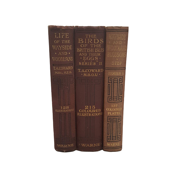 Life of the Wayside and Woodland, Wayside and Woodland Blossoms, The Birds of the British Isles (3 Books)