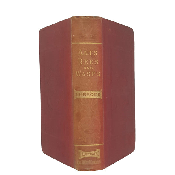 Ants, Bees and Wasps by Sir John Lubbock - Kegan Paul, 1898