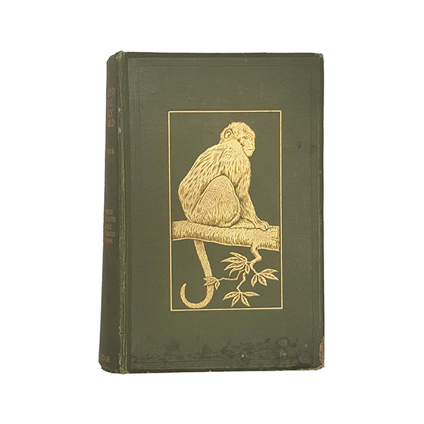 New Illustrated Natural History of the World by Ernest Protheroe - George Routledge