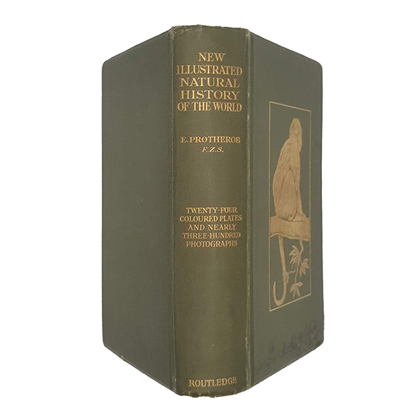 New Illustrated Natural History of the World by Ernest Protheroe - George Routledge