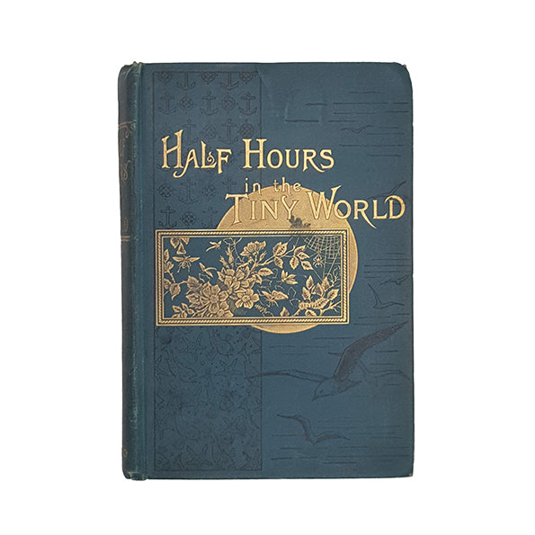 Half Hours in the Tiny World: Wonders of Insect life - James Nisbet, 1899