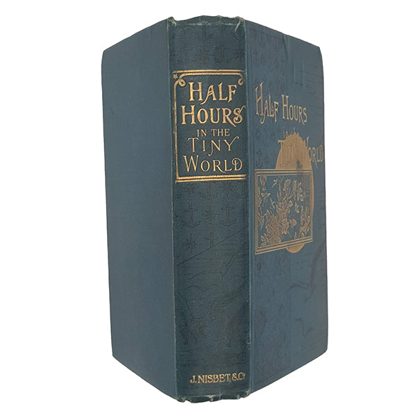 Half Hours in the Tiny World: Wonders of Insect life - James Nisbet, 1899