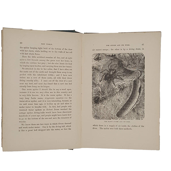Half Hours in the Tiny World: Wonders of Insect life - James Nisbet, 1899