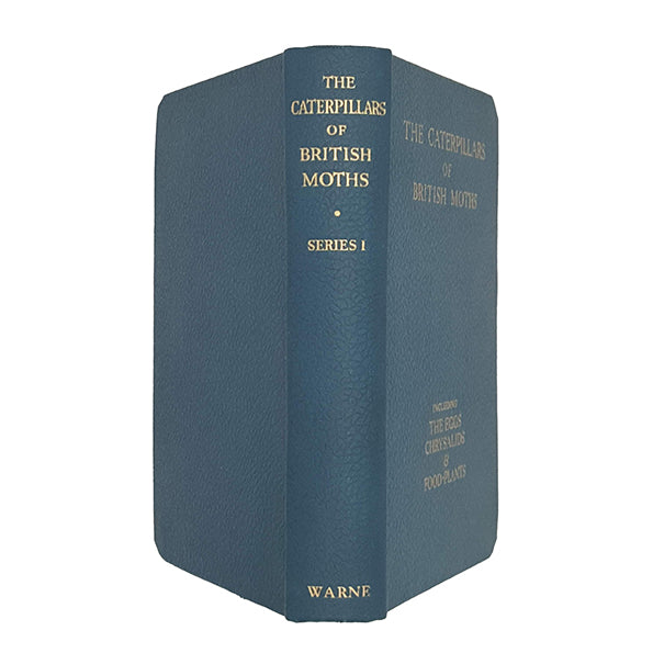 The Caterpillars of British Moths by J. C. Dollman - Frederick Warne, 1948
