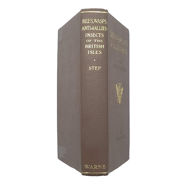 Bees, Wasps, Ants &amp; Allied Insects of the British Isles - Warne, 1932