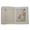 Patsy Mouse by Geoffrey Ford - 1st Ed. Ward Lock, 1947
