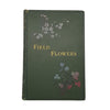 Field Flowers by Shirley Hibberd - W. H. & L. Collingridge