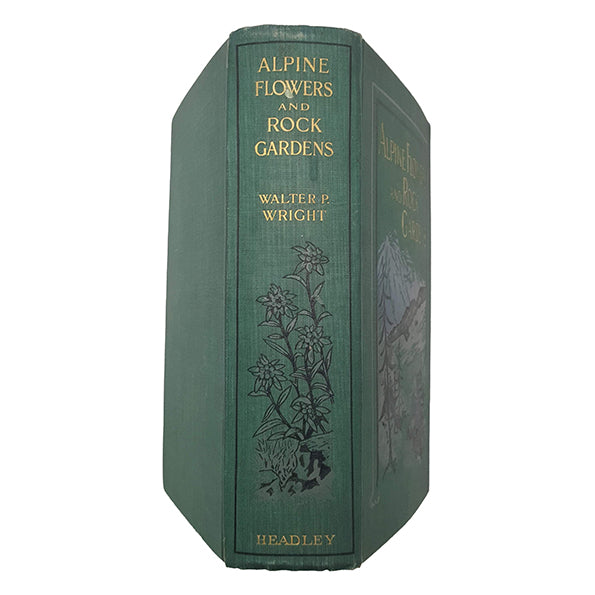 Alpine Flowers And Rock Gardens by Walter P. Wright