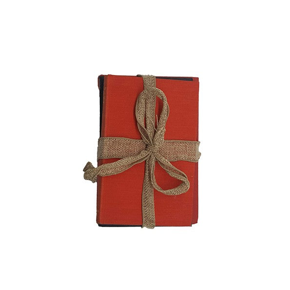 Science Fiction Collection - The Lost World, The Time Machine, In The Days of the Comet (3 Books)