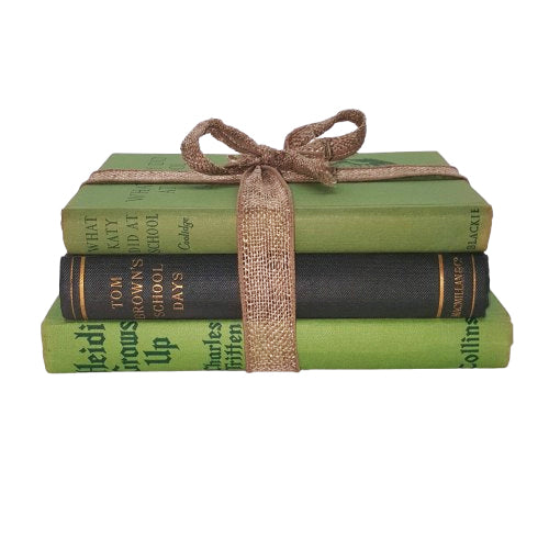 School Tales/Growing Up Collection - Heidi Grows Up, Tom Brown&#39;s Schooldays, What Katy Did At School (3 Books)