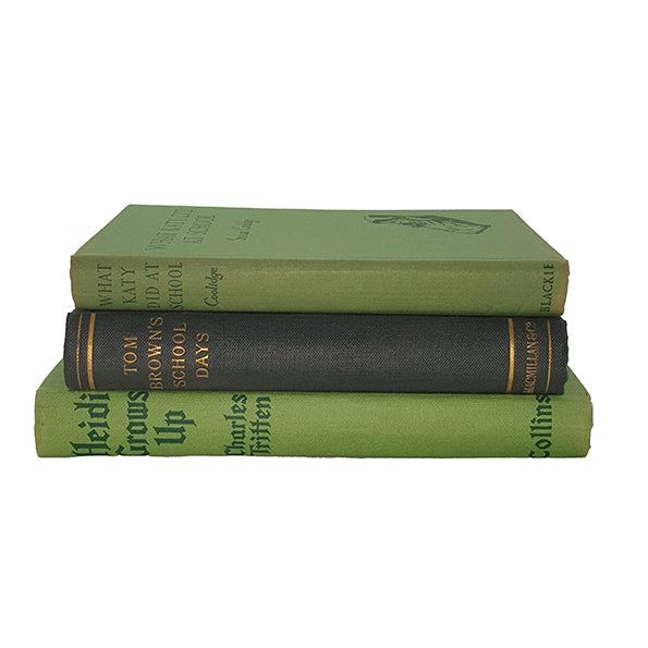 School Tales/Growing Up Collection - Heidi Grows Up, Tom Brown&#39;s Schooldays, What Katy Did At School (3 Books)