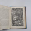 The Swiss Family Robinson by Johann David Wyss - W & R Chambers, c.1901
