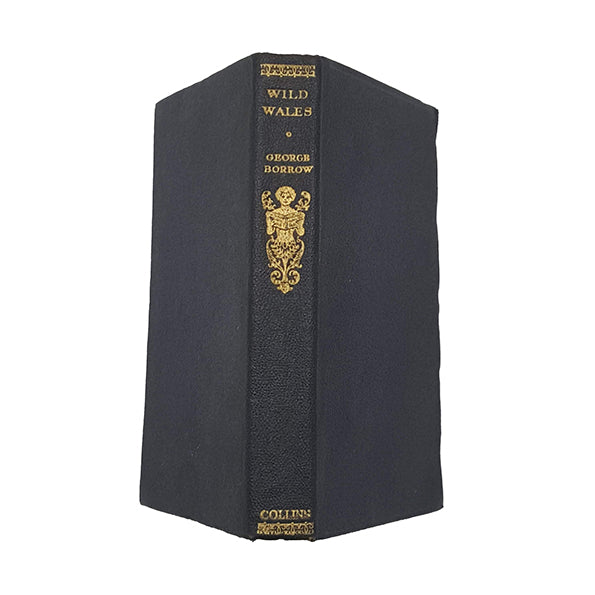 Wild Wales by George Burrow - Collins