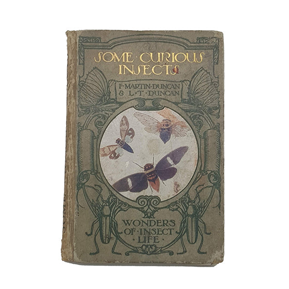Some Curious Insects by F. Martin Duncan &amp; L. T. Duncan
