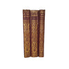 Charles Dickens Tale of Two Cities, Little Dorrit, Dombey & Son (3 Red Books)