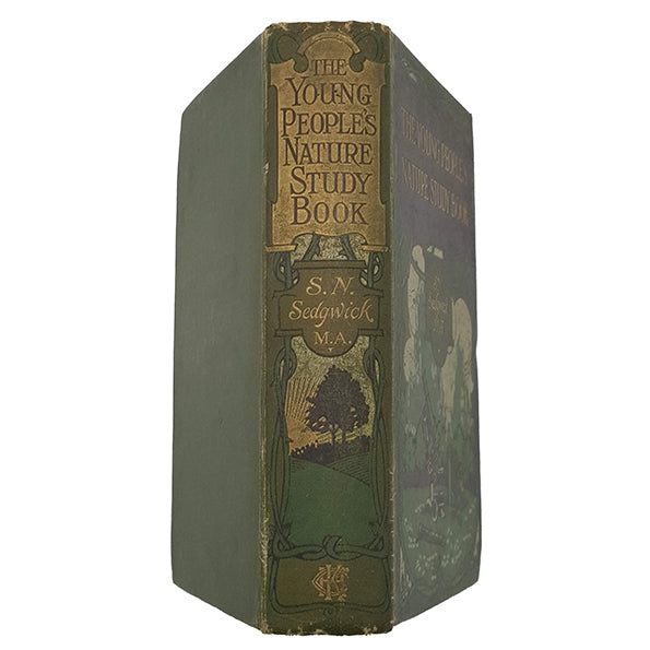 The Young People's Nature Study Book by S. N. Sedgwick - Charles H. Kelly, 1910