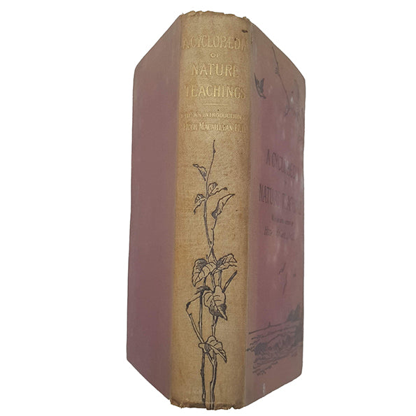 A Cyclopaedia of Nature Teachings by Hugh Macmillan