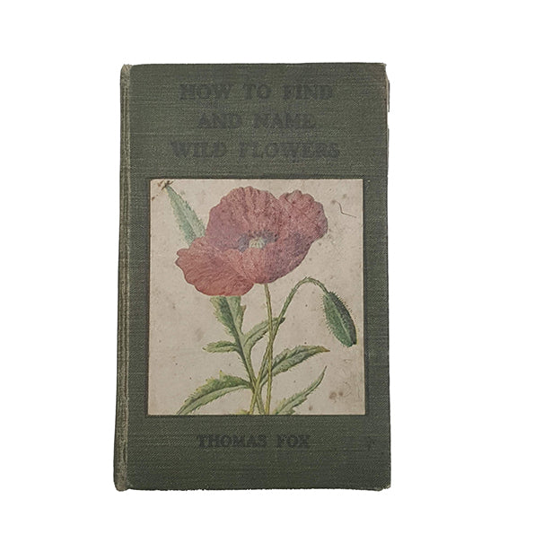 How To Find and Name Flowers by Thomas Fox - Cassell and Company, 1924
