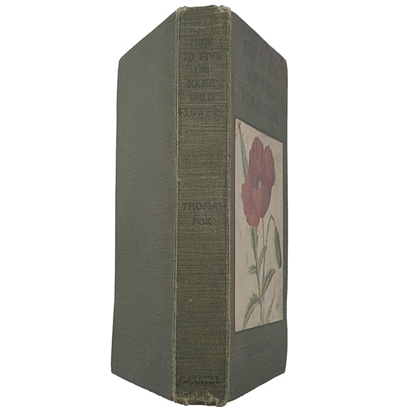 How To Find and Name Flowers by Thomas Fox - Cassell and Company, 1924
