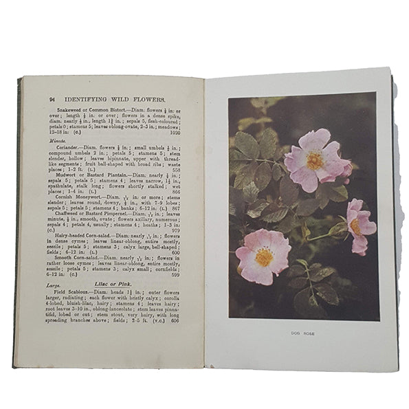 How To Find and Name Flowers by Thomas Fox - Cassell and Company, 1924