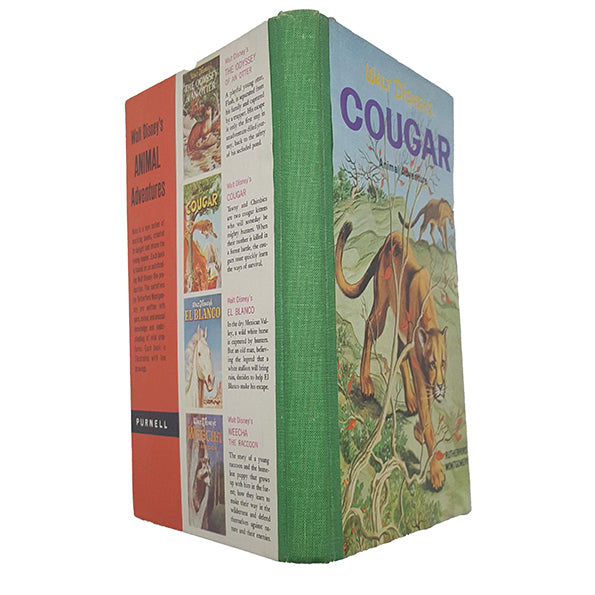 Walt Disney's Cougar - 1st Edition, 1961