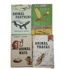 Animal Tracks, Tools, Ways, Partners (4 Books)
