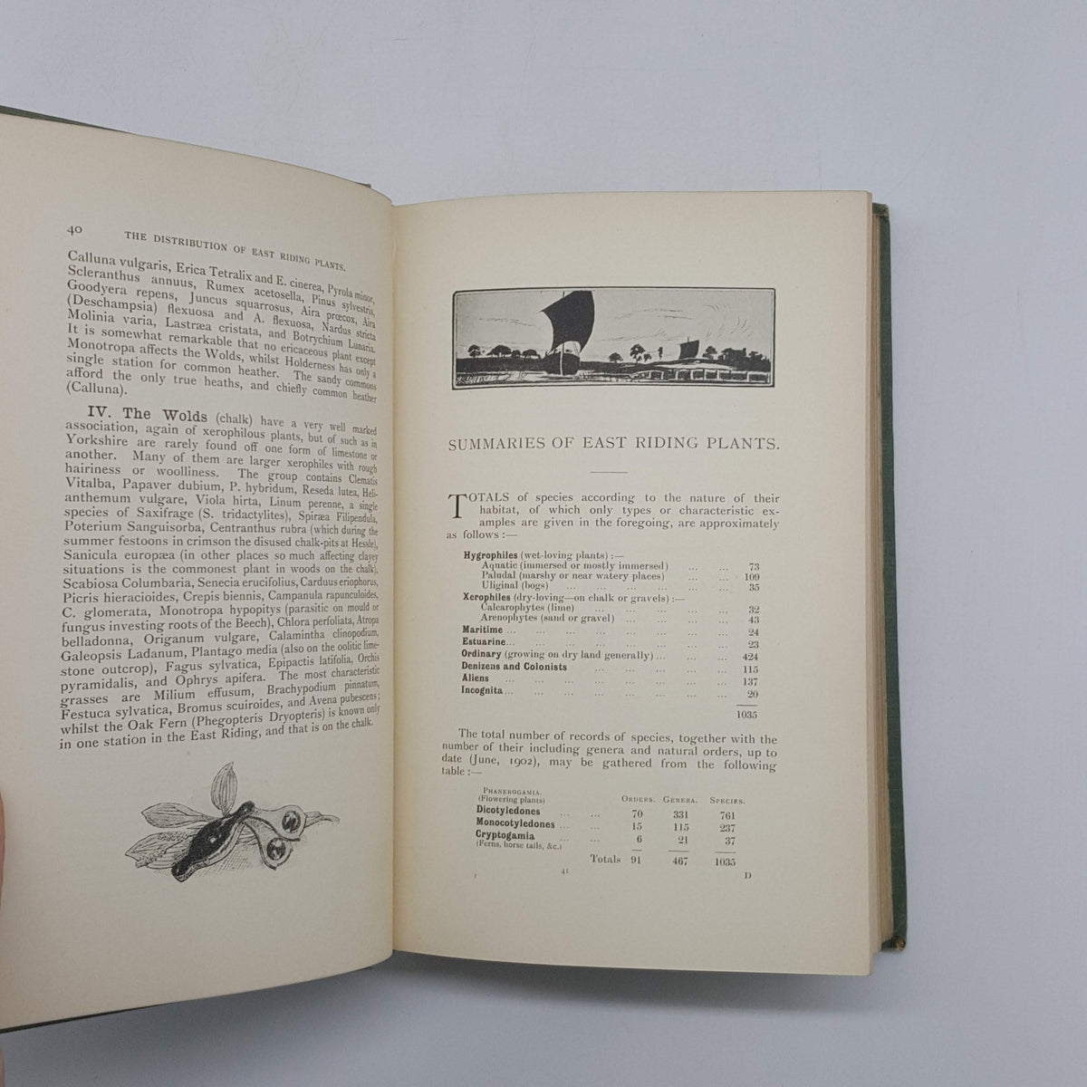 The Flora of the East Riding of Yorkshire by Jas. Fraser Robinson - A. Brown, 1902