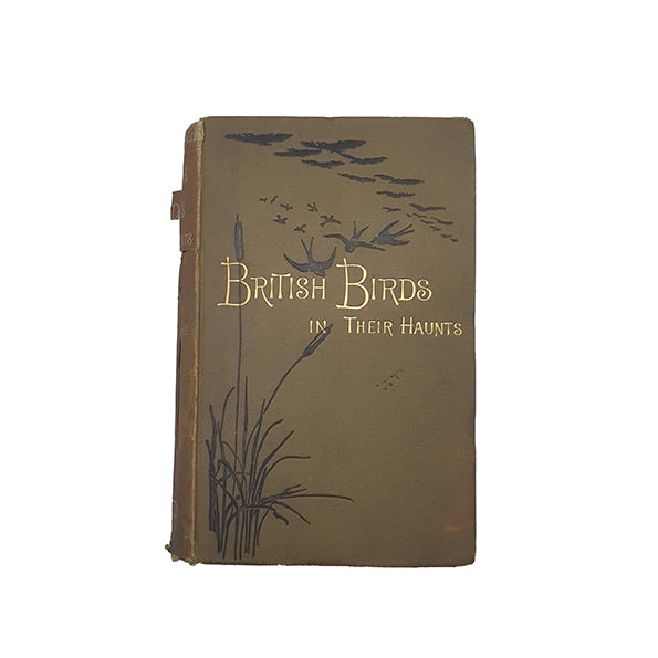 British Birds in their Haunts by Rev. Johns - SPCK, 1882