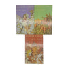Cicely Mary Barker's Flower Fairies 7 Book Collection