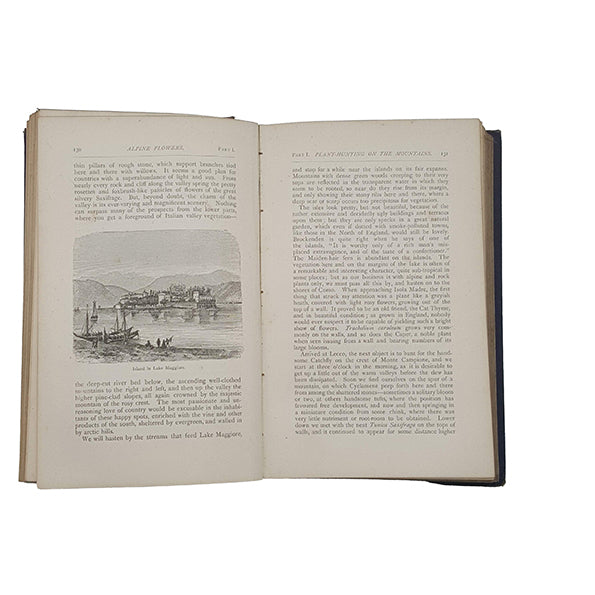 Alpine Flowers for English Gardens by W. Robinson - John Murray, 1870